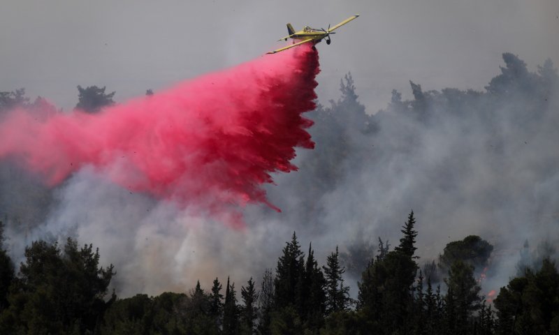 עלו באש 2,650 דונם של חורש בשריפה בהרי ירושלים