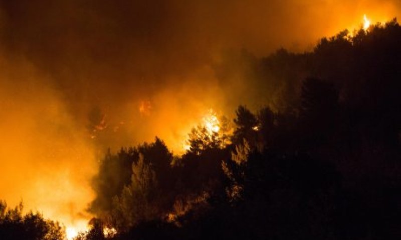 המדינה מכירה רק ב-9 שריפות כהצתות מכוונות