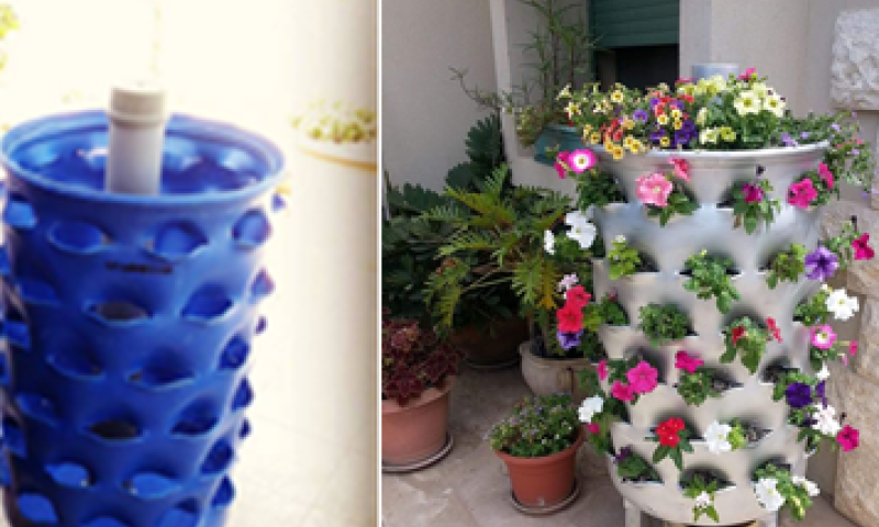 תופעת ה"חביתותים" מתפשטת; הרבנים צריכים לתת תשובות