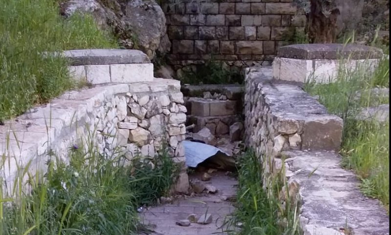 זעזוע: קבר הרב עובדיה מברטנורא חולל בהר הזיתים