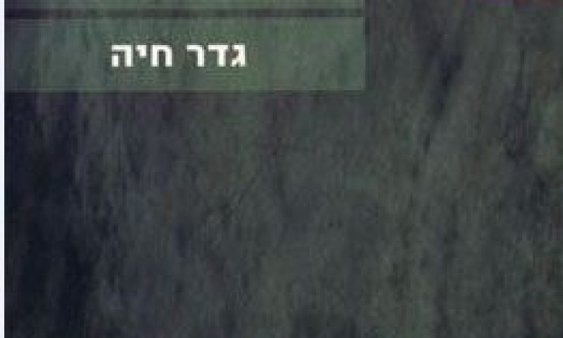 לא רק התבוללות: מה עוד כתוב בספר "גדר חיה"?