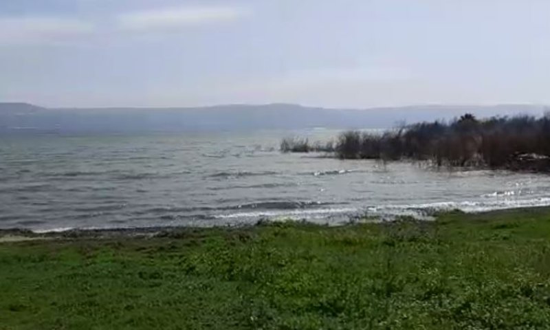 תיעוד נדיר: הכנרת עולה על גדותיה ומציפה את החוף. צפו