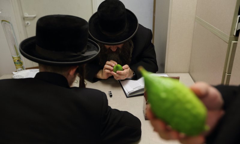 אתרוגי אוצר בית דין? "שערוריה ועושק הצבור"