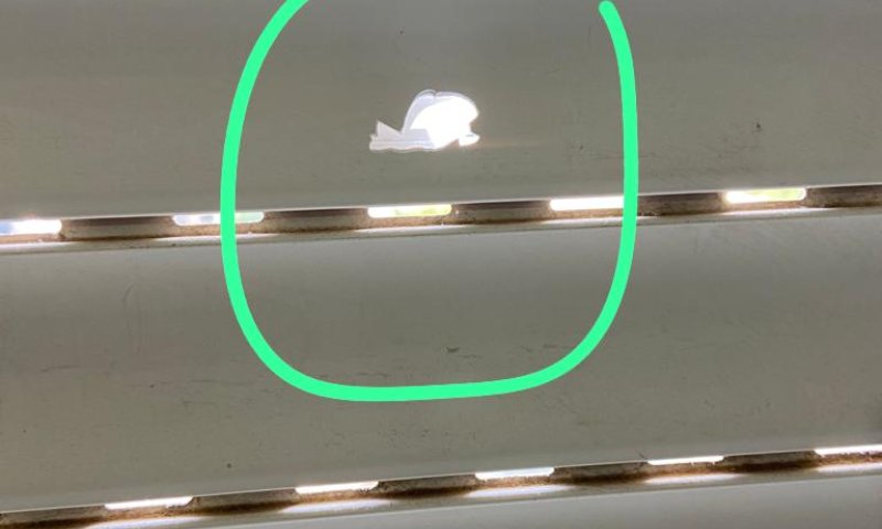 כמעט אסון: קליע חדר לחדר השינה בפסגת זאב