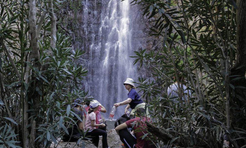 מה עושים כשילד נפצע בחופש? זכויות ופיצויים