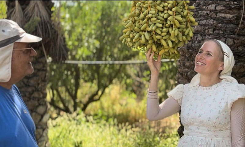 "נס התמר" &ndash; מסע רוחני ייחודי אל עולם הריפוי הטבעי