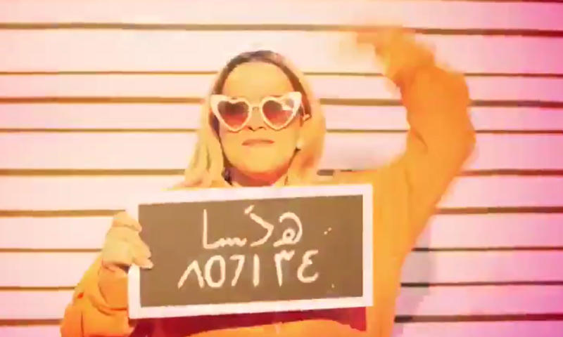 הסיפור שלא סופר: כשהדסה מסיני נעצרה במכס. צפו