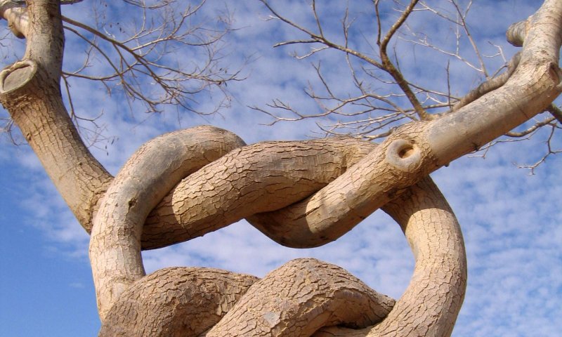 מרהיב: ספר 'בראשית' בתמונות מיוחדות