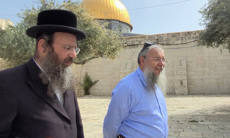 תנחומים בהר: שלמה נאמן קם מהשבעה &ndash; להר הבית