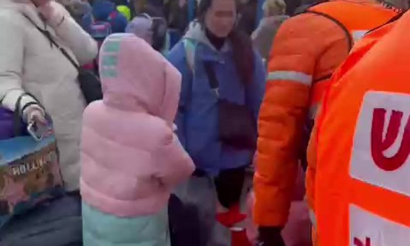 תשושים, עם חיות המחמד, הפליטים עולים לארץ