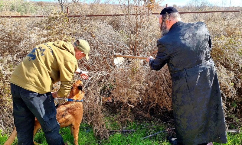 צפו | בעזרת יחידת הכלבנים: נעצרו ארבעה חשודים בהחזקת אמל"ח