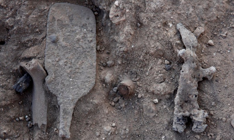 תעלומה: מה מסמל העיטור שנמצא במקדש הכנעני