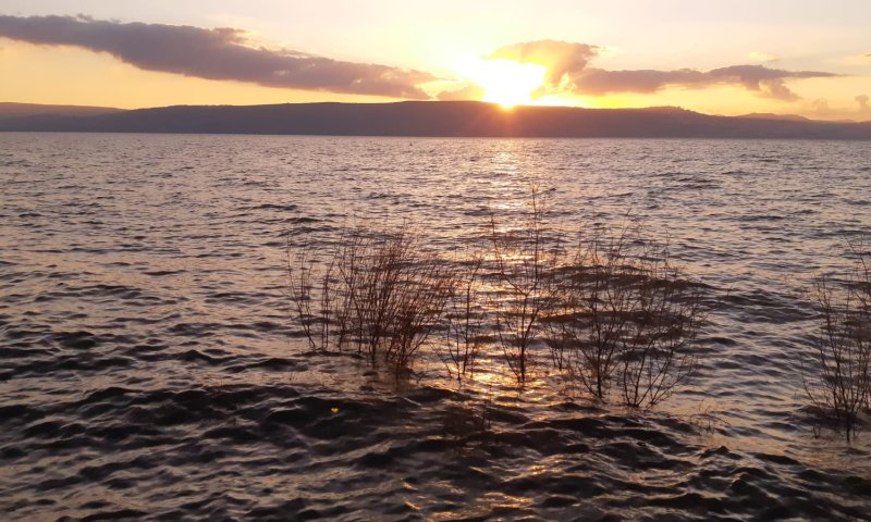 לפני שהגשם חוזר: מפלס הכנרת בעוד עלייה מרשימה