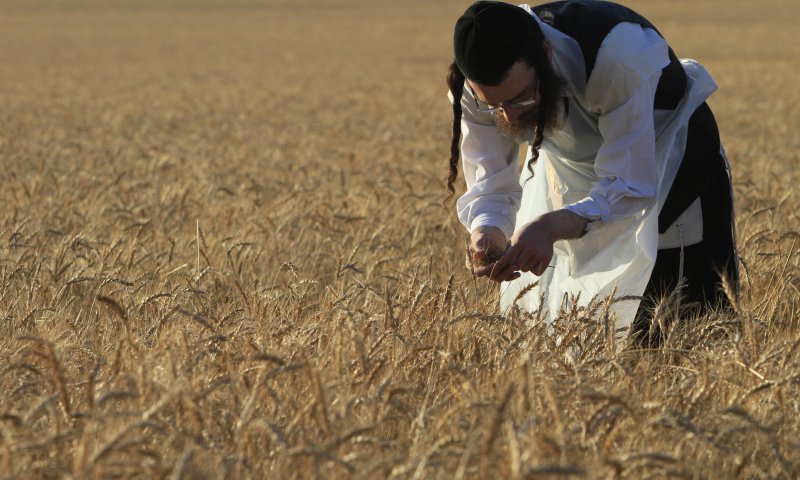 מכתב לחולדאי:במקום לדחות את החרדים הושט להם יד