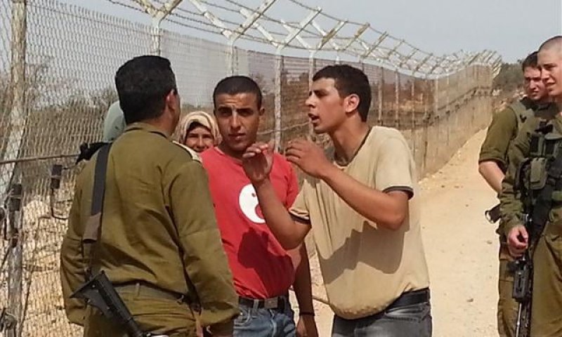 זעם באיתמר: פלסטינים מוסקים זיתים ליד בית פוגל