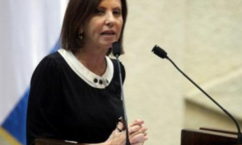 גלאון: "חברי הכנסת מהימין ממשיכים להסית"