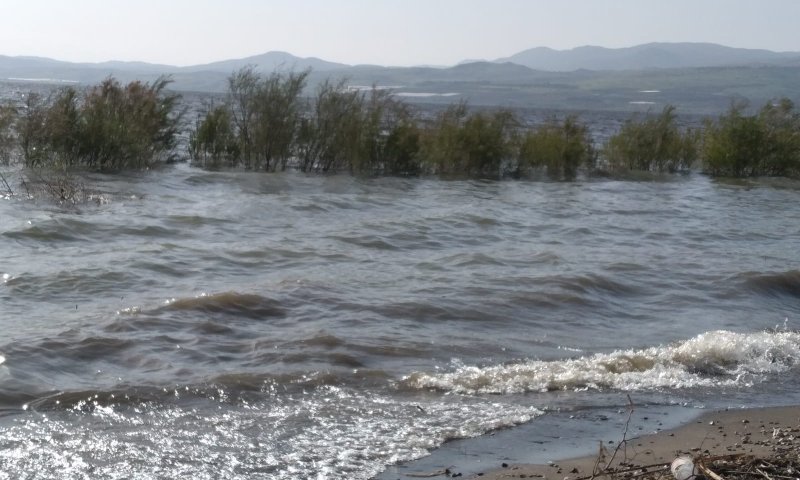 לא עוצר: מפלס הכנרת ממשיך לשבור שיאים