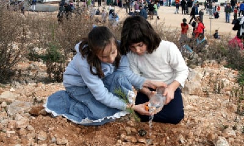 נטיעות ב"עזרא": החניכים יטעו עצים ויחלקו מזון לנזקקים
