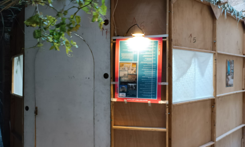 קישוט המחאה של הרב צבי טאו