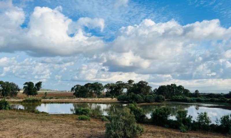 סוף סוף בשורות טובות: תחזית מזג אוויר לסופ"ש