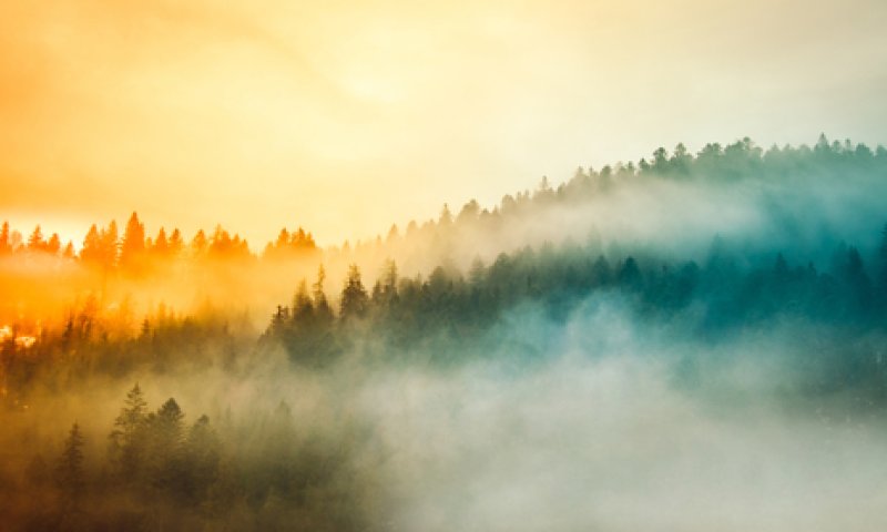 חום, רוחות וערפל; ומה עם הגשם? תחזית מזג האוויר