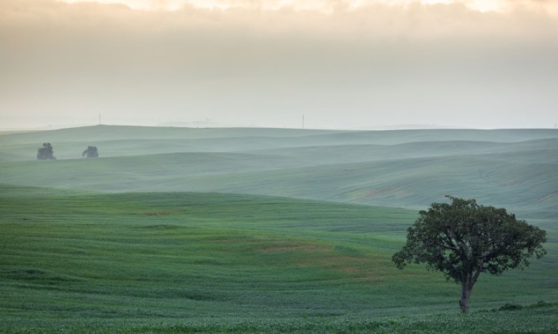 החורף נגמר? הגשם ייפסק; החום חוזר:תחזית מזג האוויר לחול המועד פסח