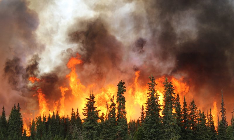 89 הרוגים בהוואי: "האסון הקטלני ביותר במאה שנים"