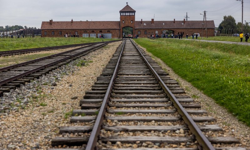 לבנה ממשרפות אושוויץ תוצג במוזיאון גוש קטיף