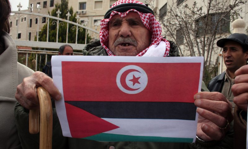 טוניס: פורעים שרפו וביזו ציון של רבי יוסף אל מערבי