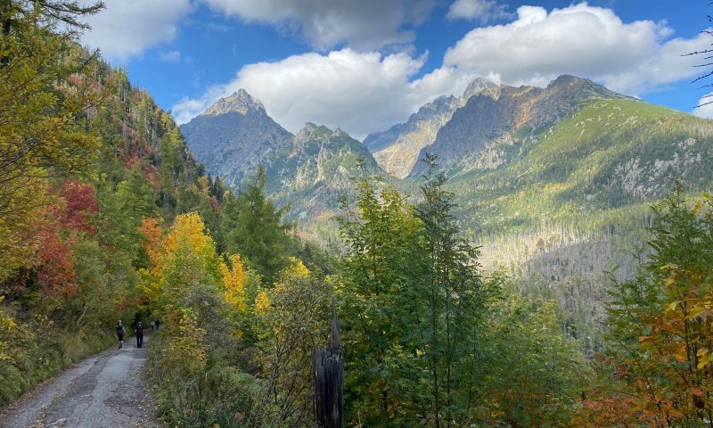 רגע לפני שהמדינה הזאת הופכת ליעד הכי פופולרי