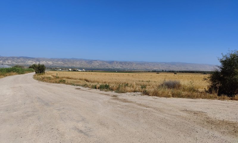 גבולות פרוצים: ירדן-החזית הבאה?