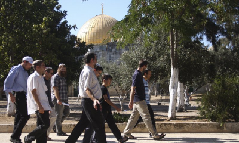 צפו: מאות עלו השבוע להר הבית והתפללו לשלום העולם; המוסלמים זועמים