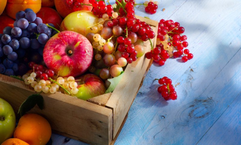 במקום מים: פירות וירקות טעימים ובריאים