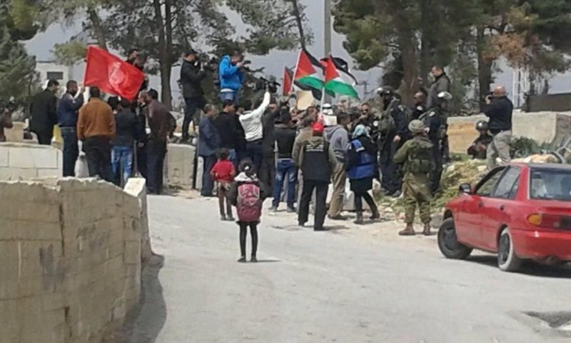 פלסטינים סילקו פעילי שמאל שהפגינו בחברון: "מחבלים בדו קיום"