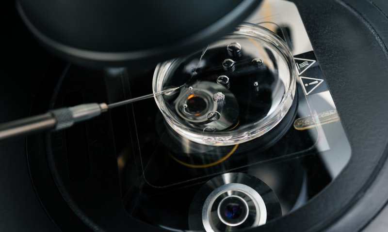 השגחה בטיפולי פוריות &ndash; מאמר תגובה לפוע"ה