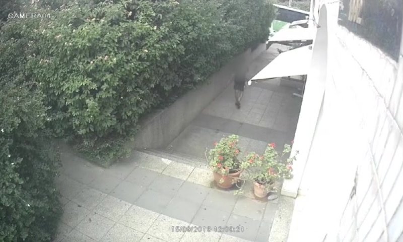 צפו: זרק בקבוק בנזין וברח; כך הוצת עסק בכפר סבא