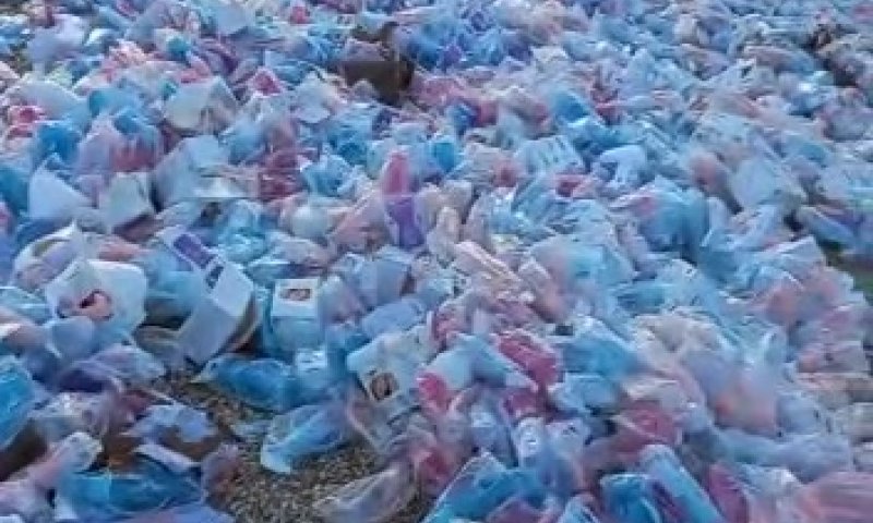 צפו: מוצרי תינוקות נסחפו ממכולה אל חופי אשקלון