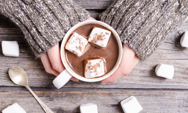 בדיוק לסופה: שוקו חם סמיך להתכרבלות | מתכון