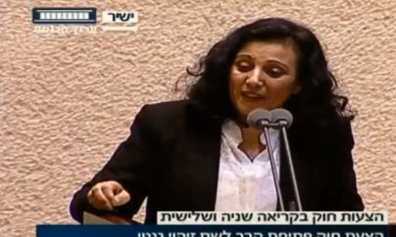 החוק עבר; הח"כית בכתה באמצע הנאום. צפו