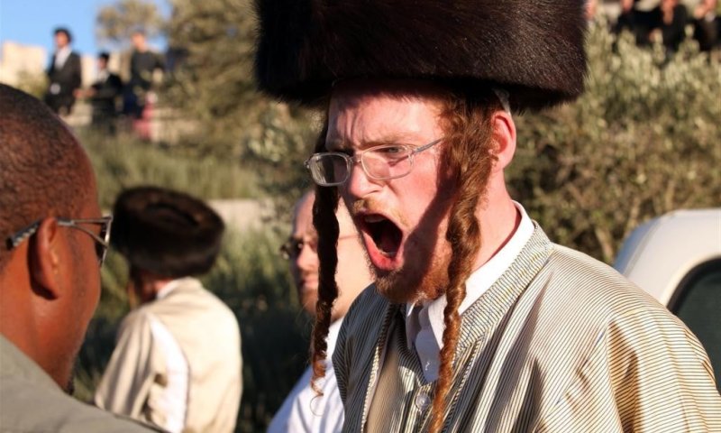 זעם חרדי: "גונן גינת, שרלו ובני לאו &ndash; איך אתם מעיזים?"