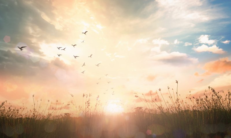 פנימיות בקטנה: איך לקבל קדושה גבוהה יותר?