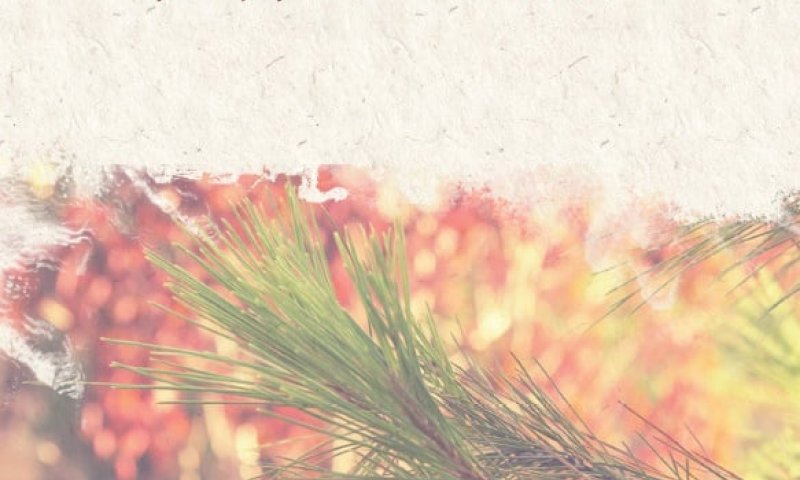 להאזנה: איתן קלינמן בשיר זיכרון  'דמעות הראל'