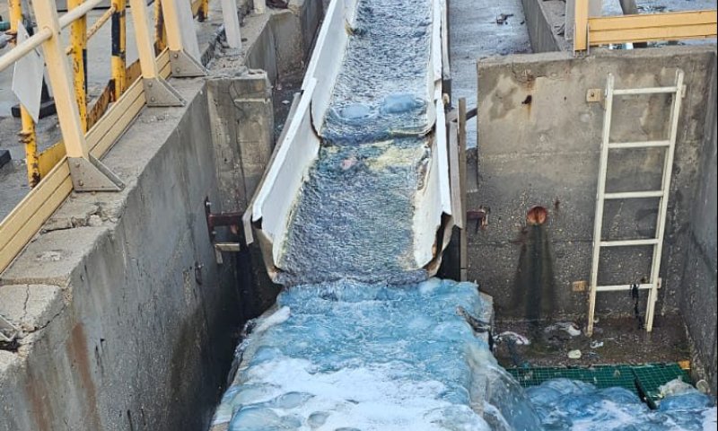 המורדים החוטים: מאות מדוזות פשטו על תחנת הכח בזיקים