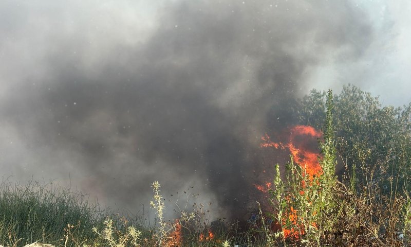 שריפת קוצים באום אל פאחם: בתים פונו, מחסן עלה באש