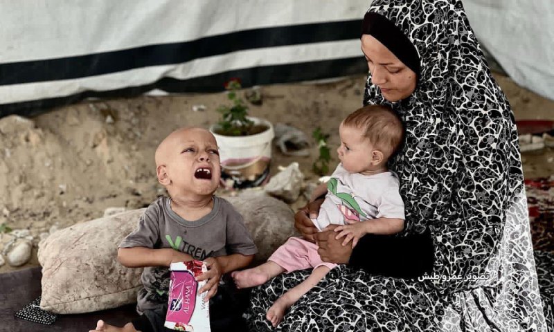 עכשיו זה רשמי: הדיווחים על רעב בעזה &ndash; שקריים