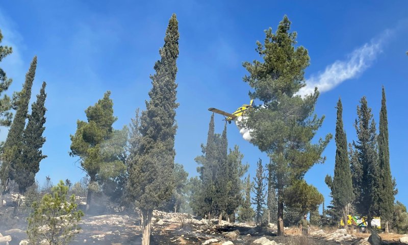 השריפה באשתאול: 40 דונם נשרפו