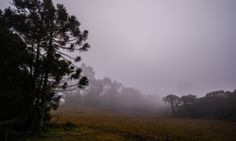 השירות המטאורולוגי מתריע: "אירוע משמעותי בפתח"