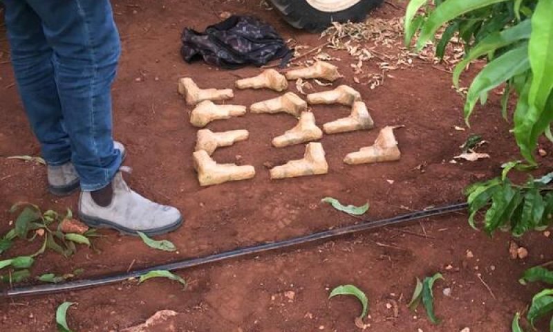 12 אקדחים נתפסו: סוכל הברחת נשק בגבול לבנון