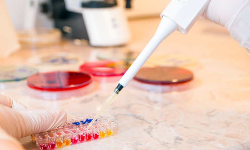 מאות בני ישיבות ותלמידות סמינרים נבדקו ב'דור ישרים' בימי הבדיקות המרוכזים