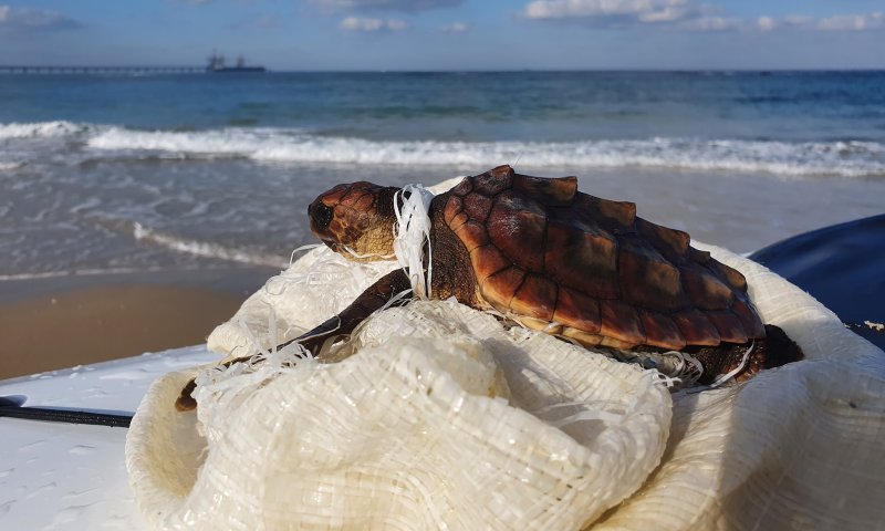 התמונות שיגרמו לכם להפסיק להביא פלסטיק לים